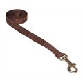 Sassy Dog Wear Sassy Dog Wear SOLID BROWN XS-L 4 ft. Nylon Webbing Dog Leash; Brown - Extra Small SOLID BROWN XS-L